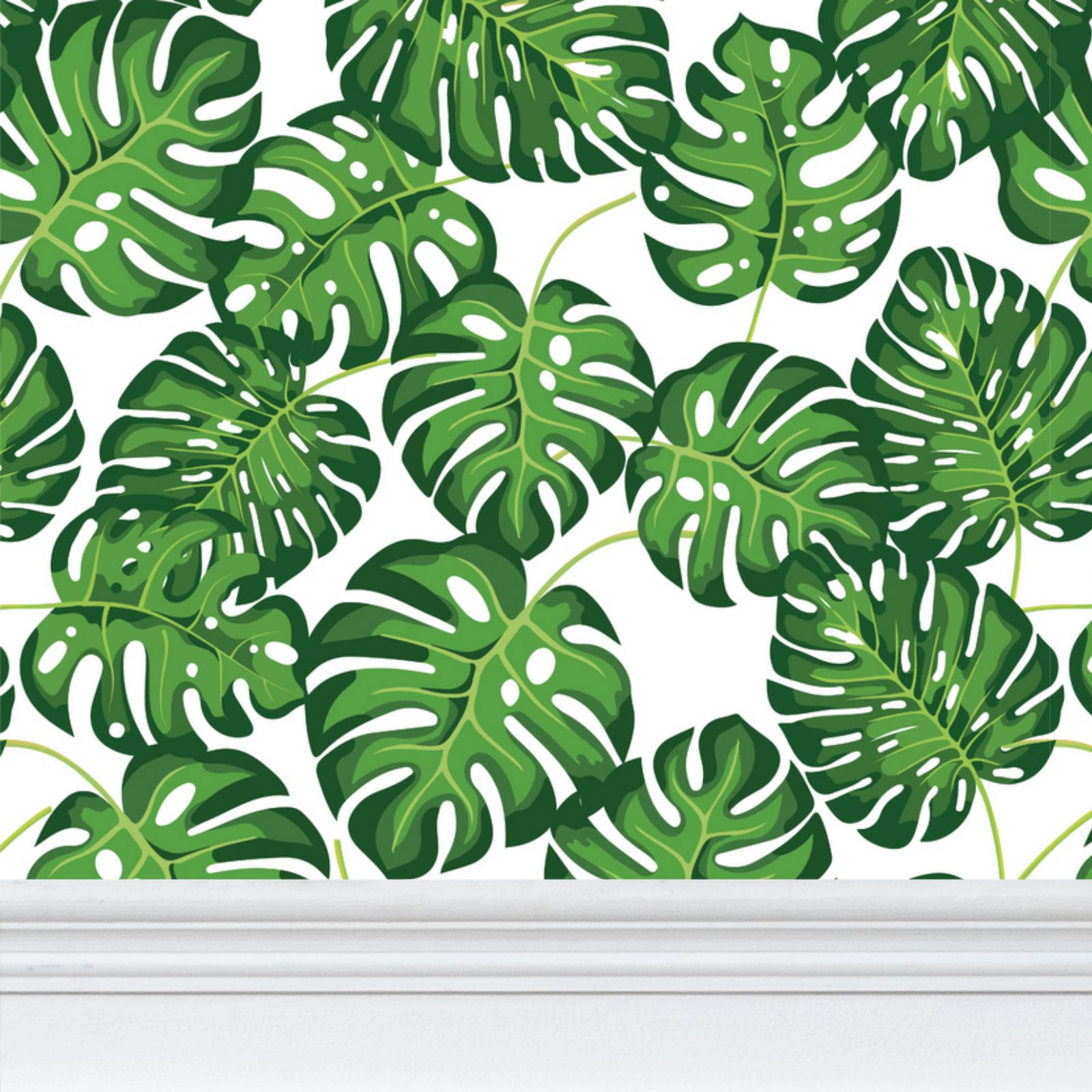 pink birkin philodendron Philodendron Birkin Pink