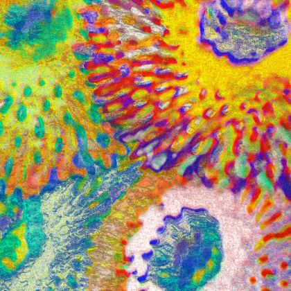 Baseball Hats — Zinnias 1 with Ira Zoot artwork — alternate view 6