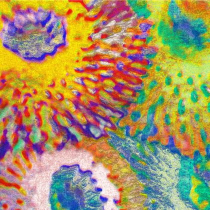 Baseball Hats — Zinnias 1 with Ira Zoot artwork — alternate view 7