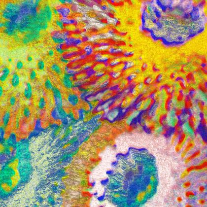 Baseball Hats — Zinnias 1 with Ira Zoot artwork — alternate view 8