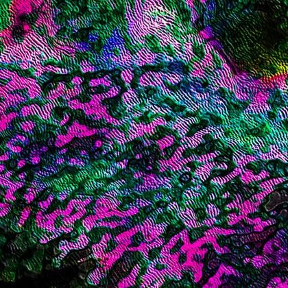 Baseball Hats — Cannovo with Ira Zoot artwork — alternate view 6