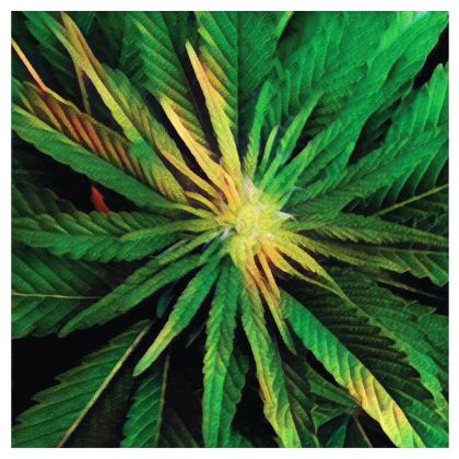 Baseball Hats — Sweetleaf with Ira Zoot artwork — alternate view 5