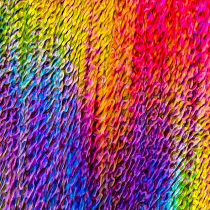 Socks — Langer with Ira Zoot artwork — alternate view 5