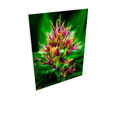Fine Art Prints — Gorrillaz by Ira Zoot