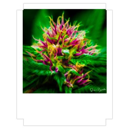 Fine Art Prints — Gorrillaz with Ira Zoot artwork — alternate view 2