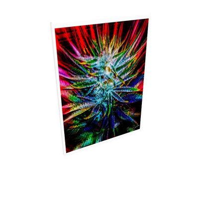 Fine Art Prints by Ira Zoot