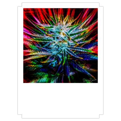 Fine Art Prints with Ira Zoot artwork — alternate view 2
