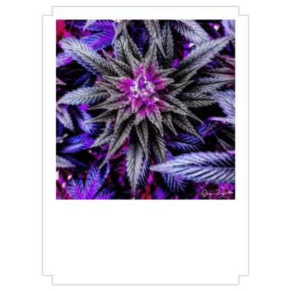 Fine Art Prints with Ira Zoot artwork — alternate view 2