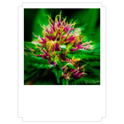 Fine Art Prints — Gorrillaz with Ira Zoot artwork — alternate view 2