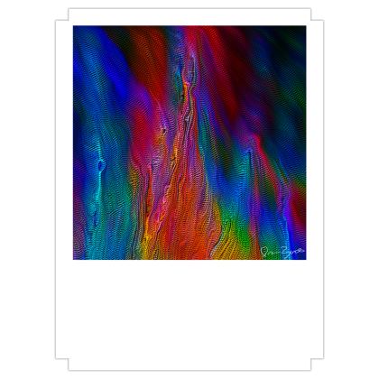 Fine Art Prints — Gullon with Ira Zoot artwork — alternate view 2