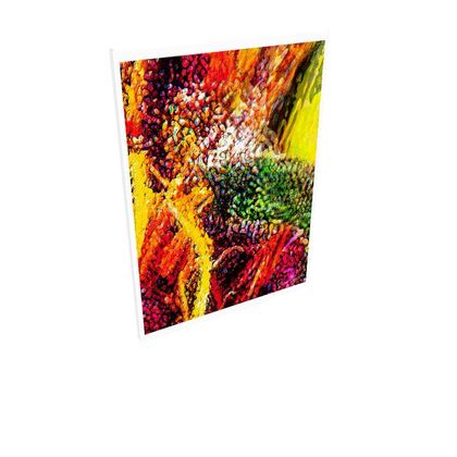 Fine Art Prints — Deisal XX 8 by Ira Zoot