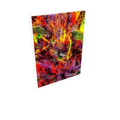 Fine Art Prints — Deisal XX 3 by Ira Zoot