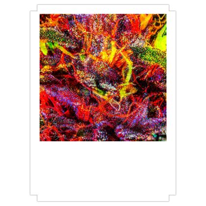Fine Art Prints — Deisal XX 3 with Ira Zoot artwork — alternate view 2
