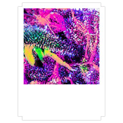 Fine Art Prints — Deisal XX 2 with Ira Zoot artwork — alternate view 2