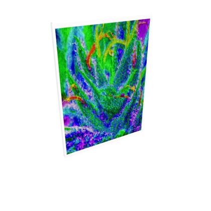 Fine Art Prints — Budaza by Ira Zoot