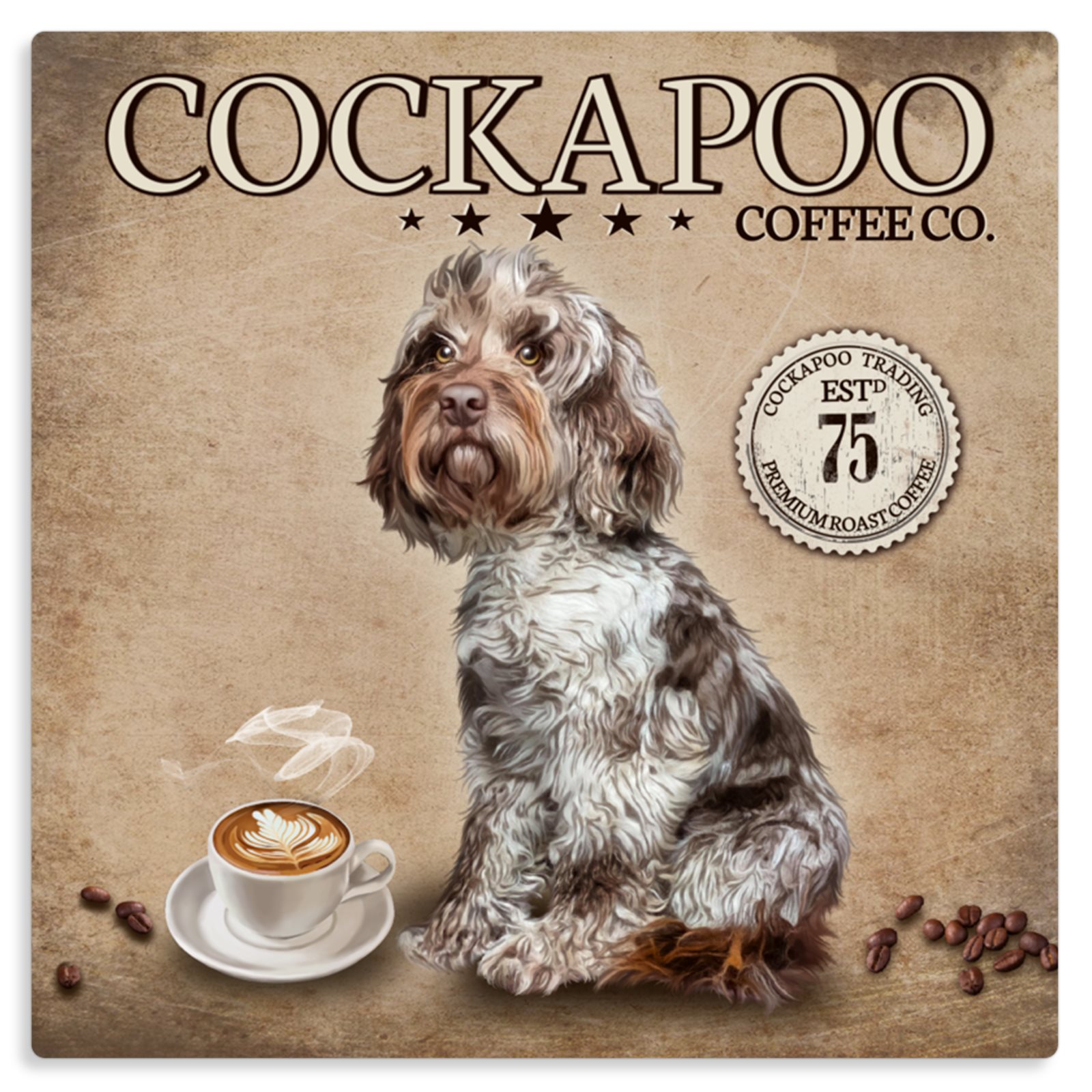 Merle cockapoo top