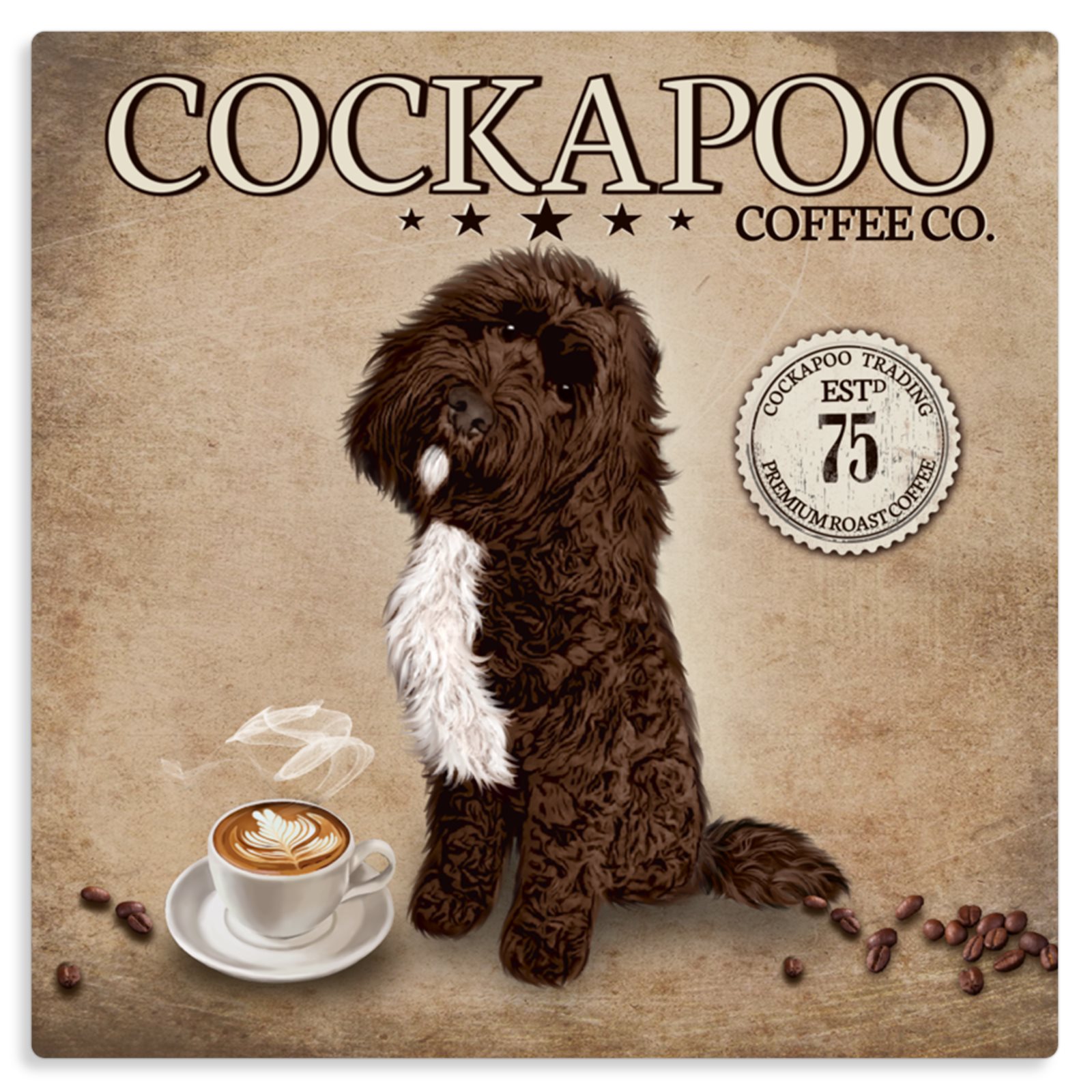 Chocolate tuxedo deals cockapoo