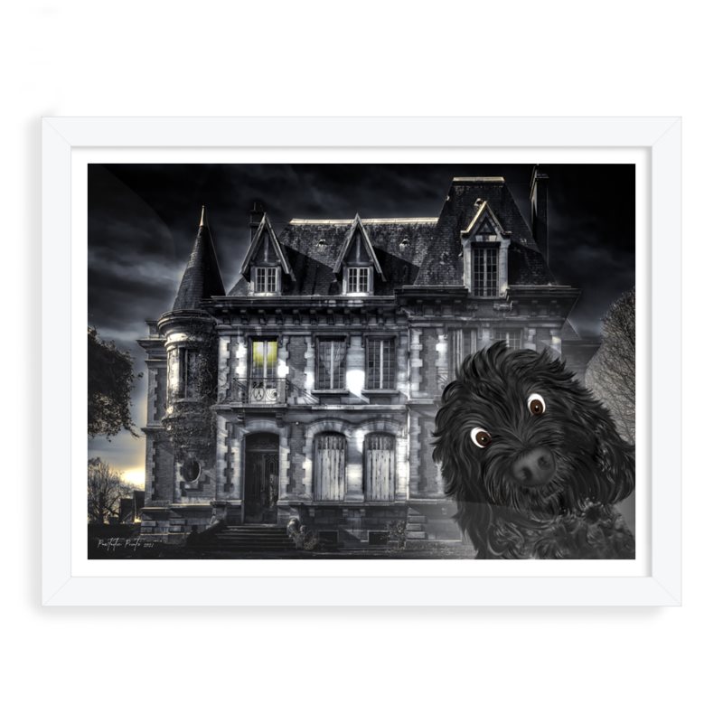 Doodle Visits Spooky Mansion Large Size 12 X 16 Doodle Visits Spooky Mansion Large Size 12 X 16