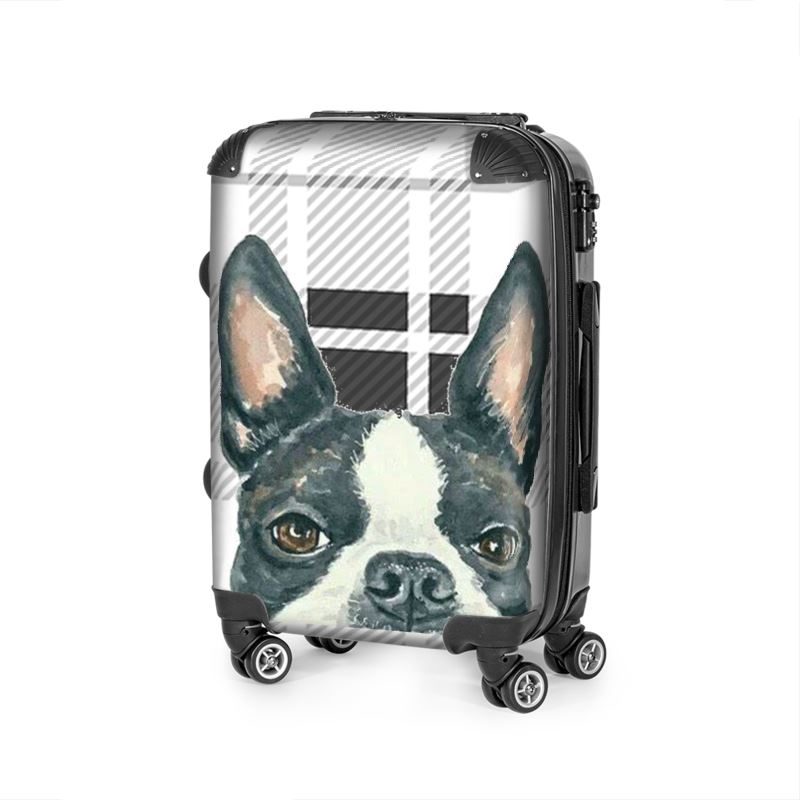 Boston trolley outlet case