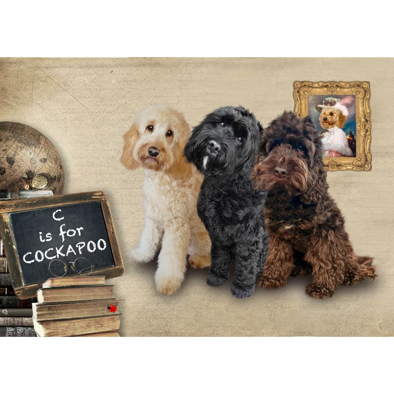 cockapoo cushion