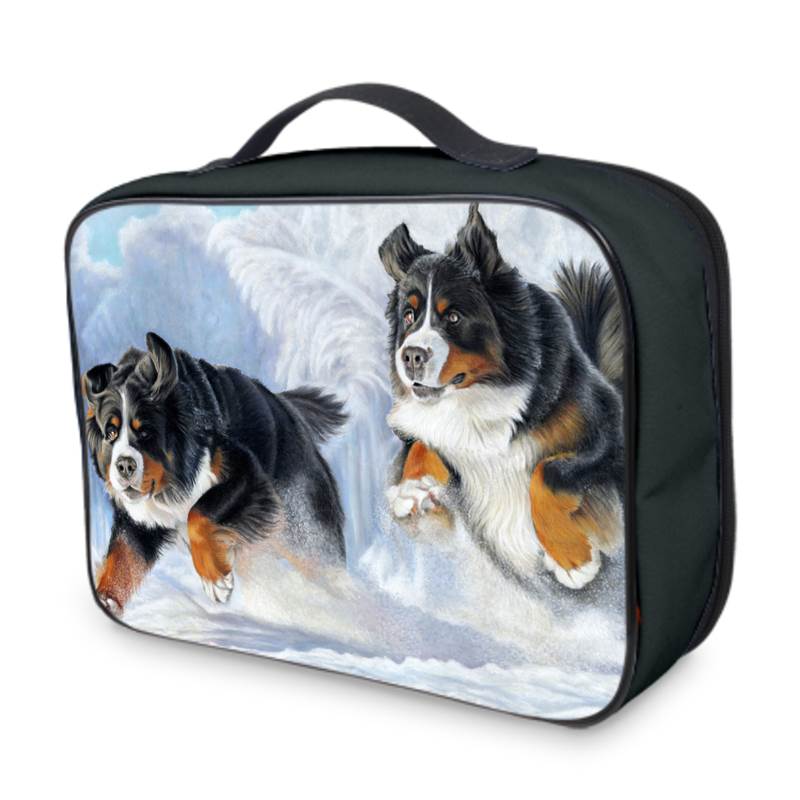 Dog lunch boxes hotsell
