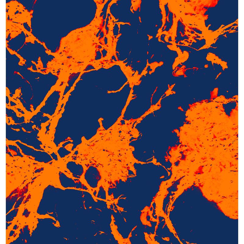Microscopic Blue Orange Print Cushion