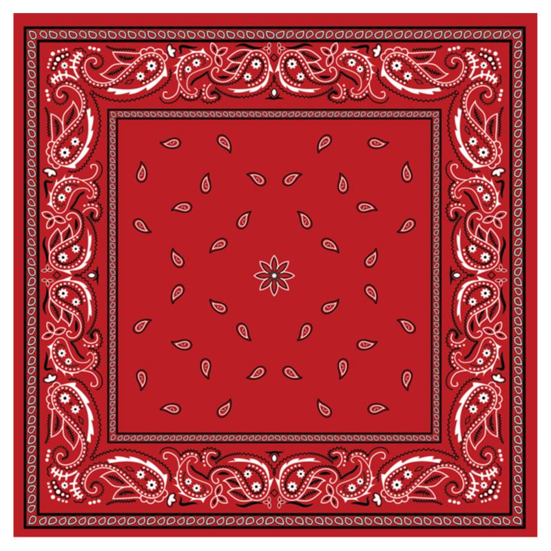 Red Bandana Bomber Jacket