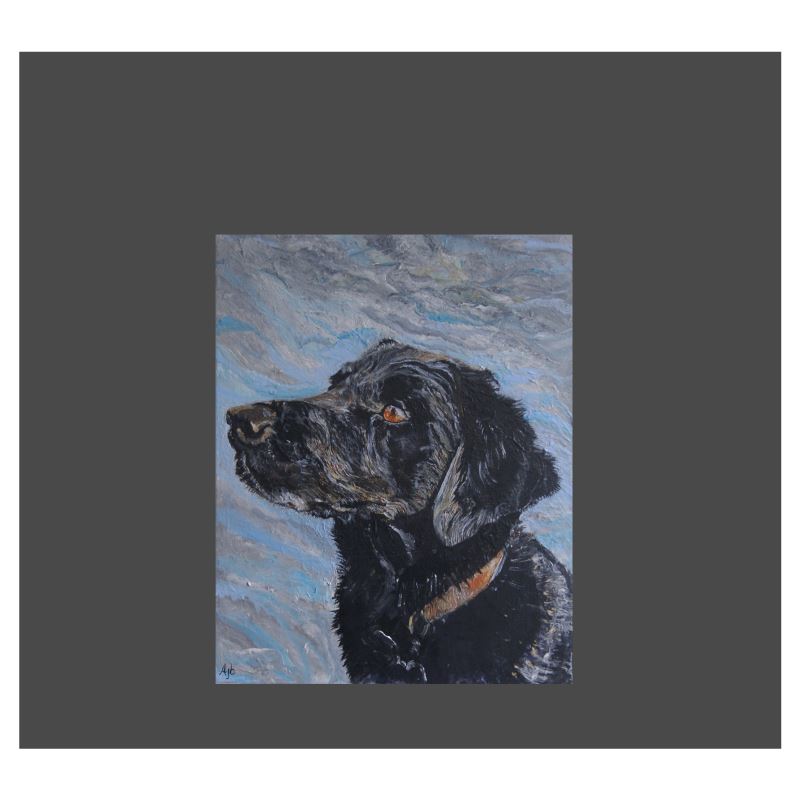 Labrador slippers hot sale for adults