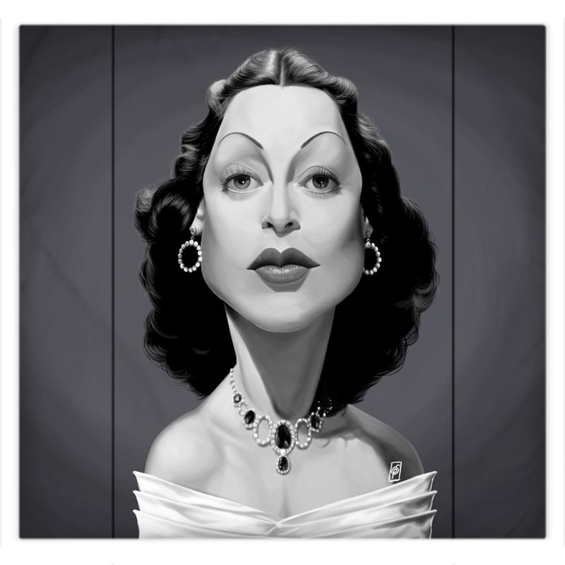 Hedy Lamarr Celebrity Caricature Duvet Covers