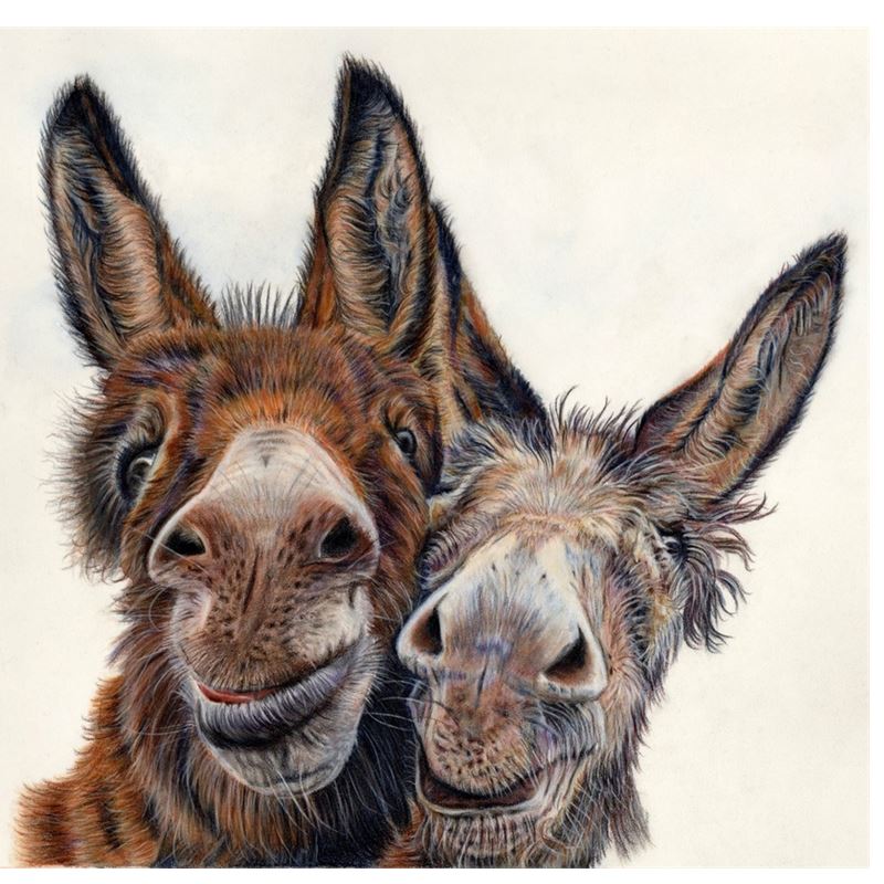 Hee HAW Donkey Cushion