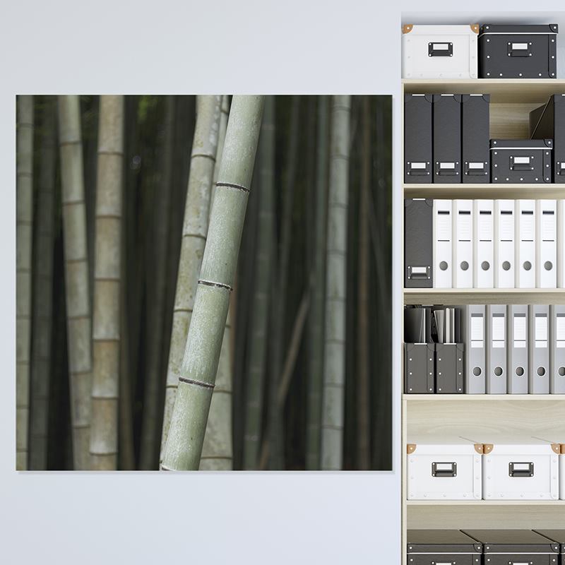 Custom Wall Plates. Personalized Wall Plates.