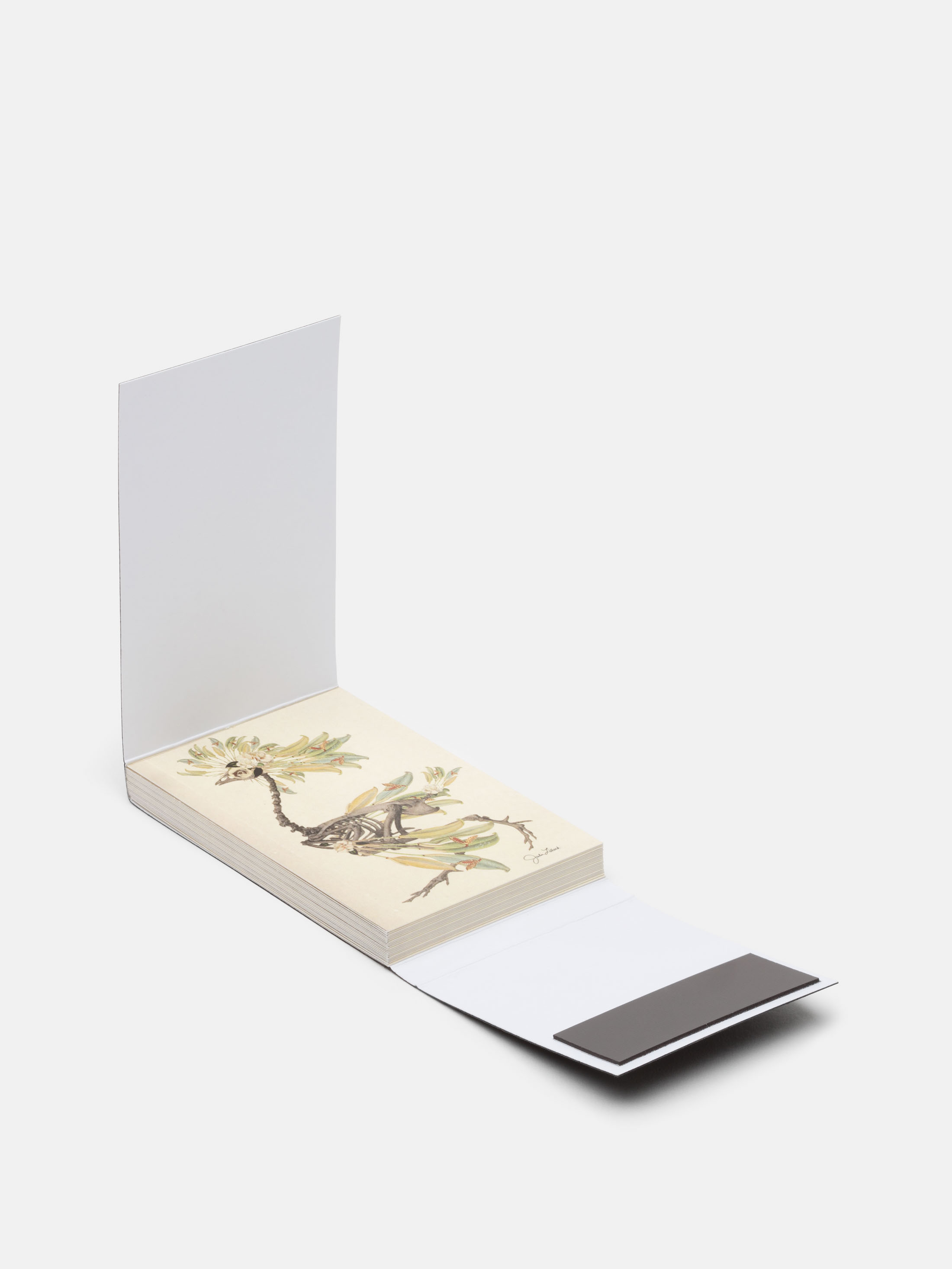 デザイン名刺｜オーダーメイド名刺にデザイン印刷｜写真ギフト