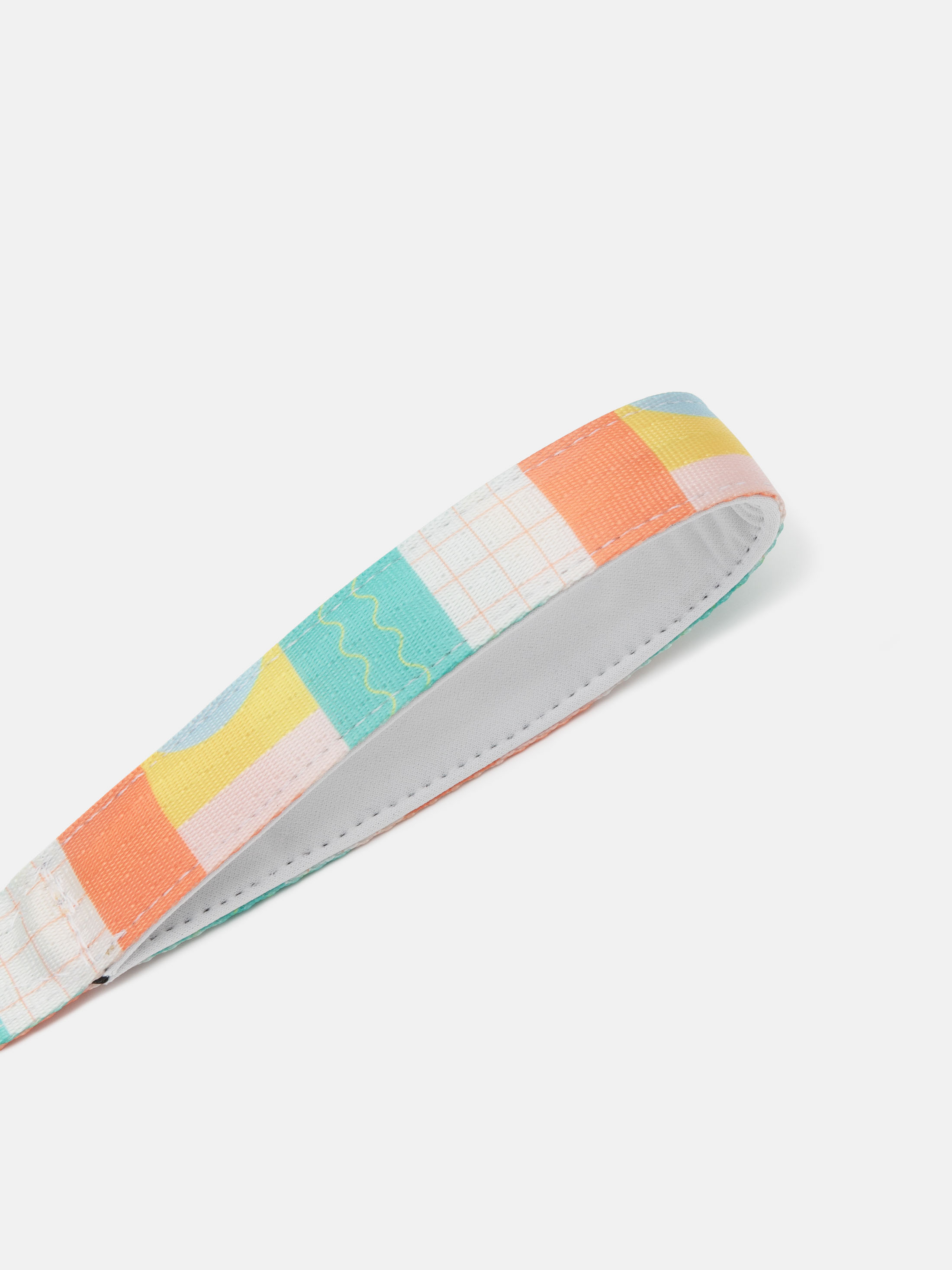 Custom Dog Leads. Design Your Own Dog Lead. Ready in 1 Day