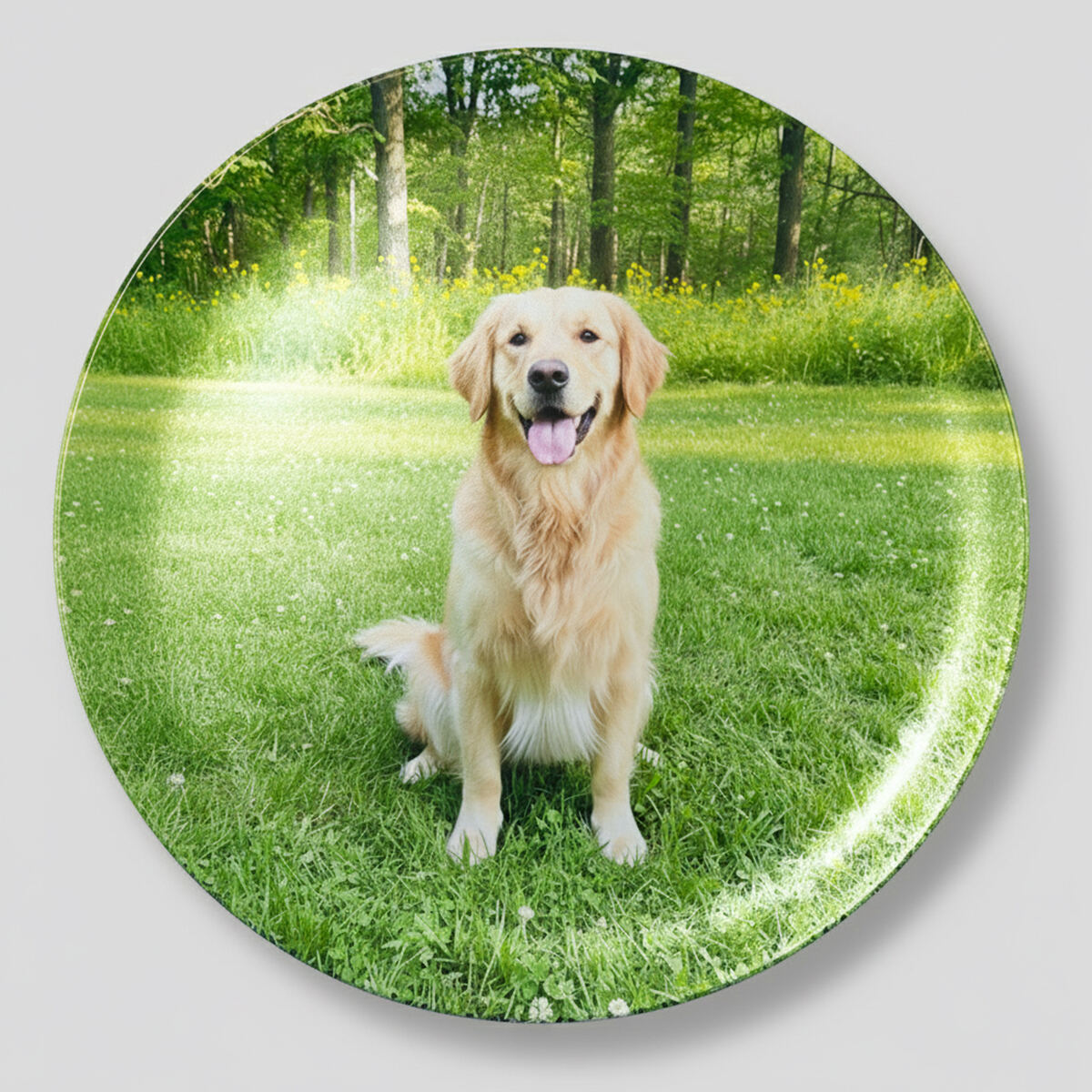 オリジナル壁掛けプレートを注文 | 写真入りカスタム皿を作成