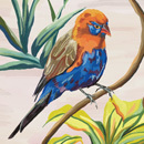 Tana Pither Design