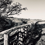 Yorkshire Wolds
