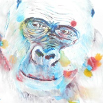Caroline Skinner Art