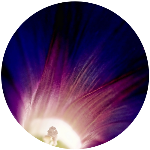 violetblazer