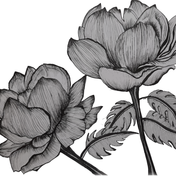 purple flowers everywhere